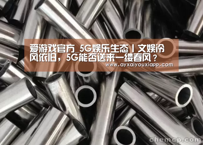 爱游戏官方_5G娱乐生态丨文娱冷风依旧，5G能否送来一缕春风？(图2)